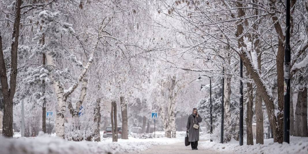 Kara kış sadece bu kentlere uğruyor! Türkiye’nin en çok kar yağışı alan şehirleri: Resmen beyaz örtüyle kaplanıyor 2